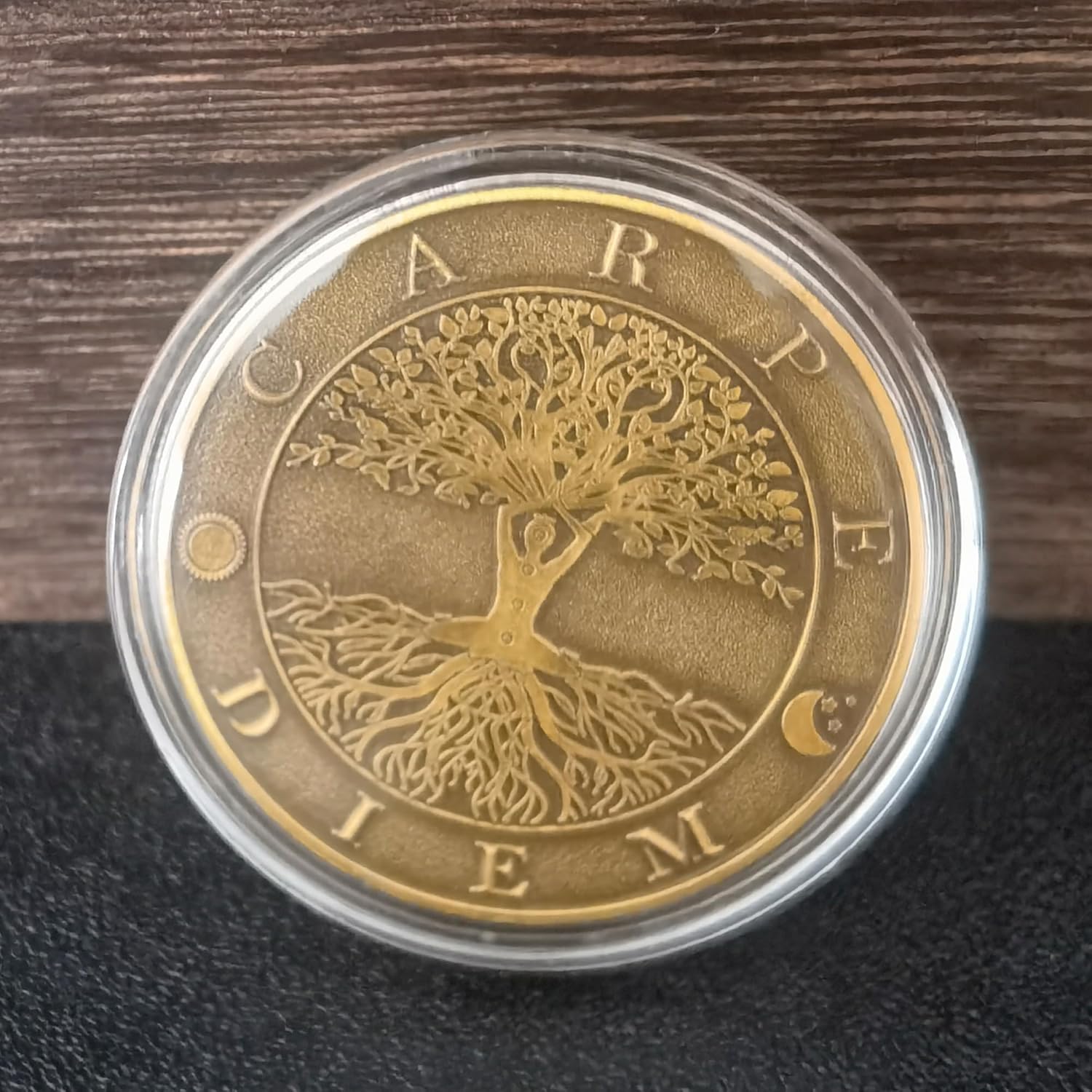 Memento Mori Carpe Diem Coin S - Token Coin Mechanism ulasan dan harga